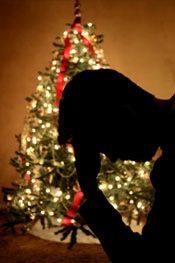 Avoid Relapse on Holidays